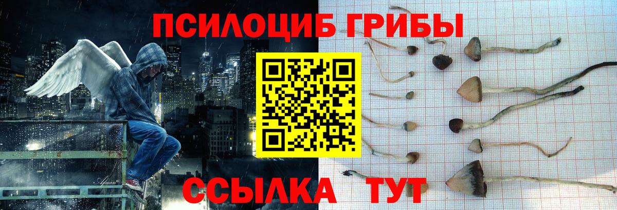 Псилоцибиновые грибы GOLDEN TEACHER Чайковский