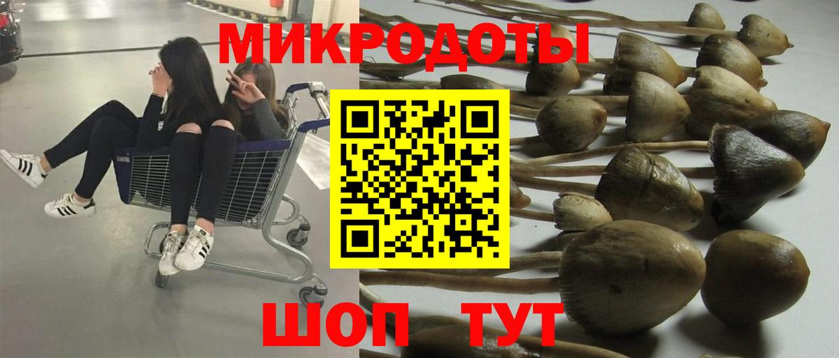 Чайковский  Галлюциногенные грибы Magic Shrooms  Вход с VPN 