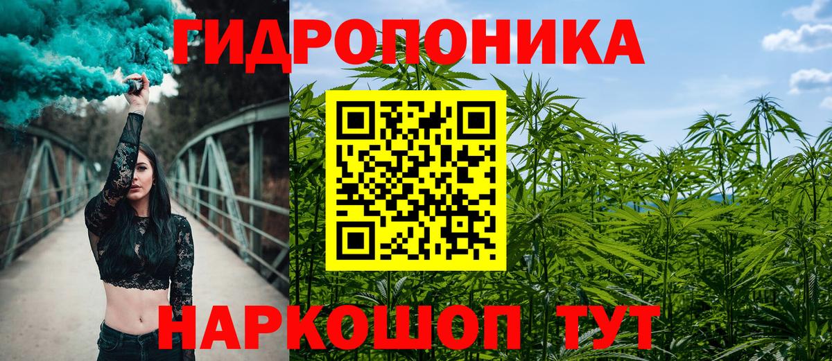 МАРИХУАНА гибрид Чайковский